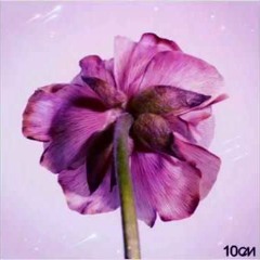 10cm - Storage (with Galaxy Fan)