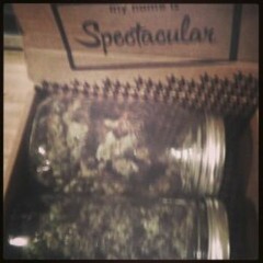 Steelo X Believe Me Blend