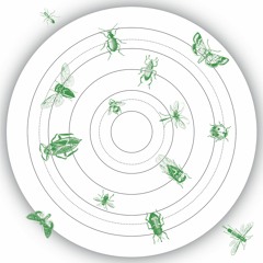 O Yuki Conjugate - Insect-Talk (Tolouse Low Trax Remix) (PREVIEW)