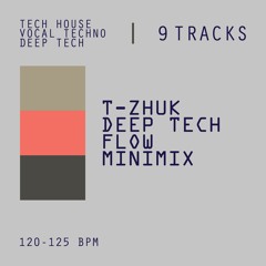t-Zhuk - Deep Tech Flow (minimix)