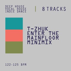 t-Zhuk - Enter The Mainfloor (minimix)