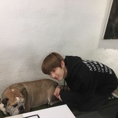 明天过后 - 张杰