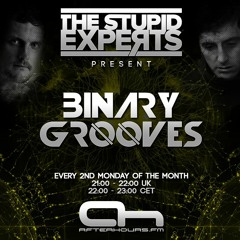 The Stupid Experts - Binary Grooves 013