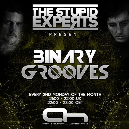 The Stupid Experts - Binary Grooves 013