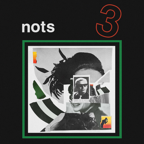 Nots - Half Painted House