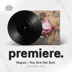 PREMIERE: Vague - You Are The Sun (Original Mix) [Polyptych]