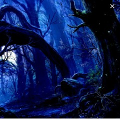 Tangela-Follow Your Head )Original Mix(136.mp3