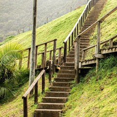 Tough Decision (demo)