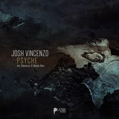 Josh Vincenzo - Psyche (Monococ Remix)