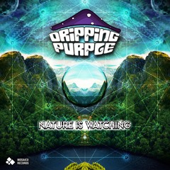 Dripping Purple - Bhanga
