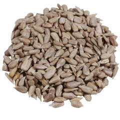 sunflowerseeds [STBB627]