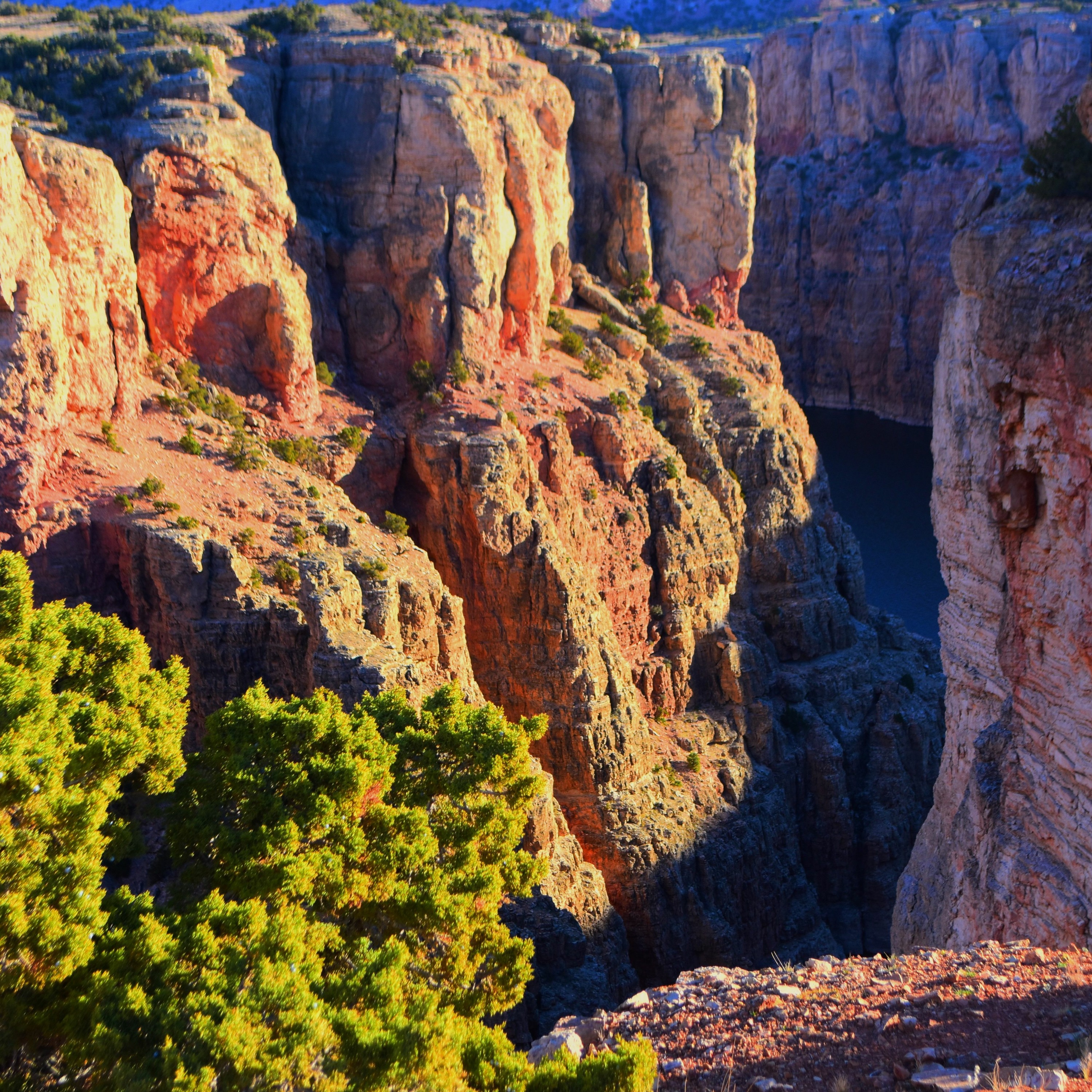 Trail of the Week