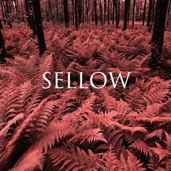 Sellow - See You soon