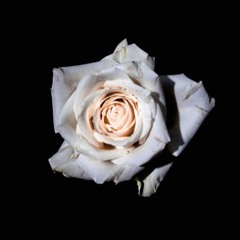 She Got Me Like (Prod By. Hinz)