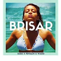 Wagg & Femach - Brisar Feat. Iago Weslley