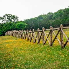 Old Fence Row (Theme Concept)