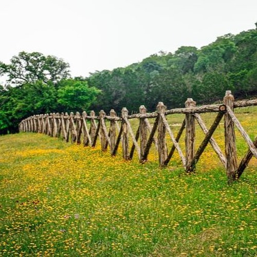 Old Fence Row (Theme Concept)