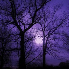 dark trees. (prod. chotty p, a$c)