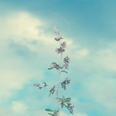 i make it in the morning