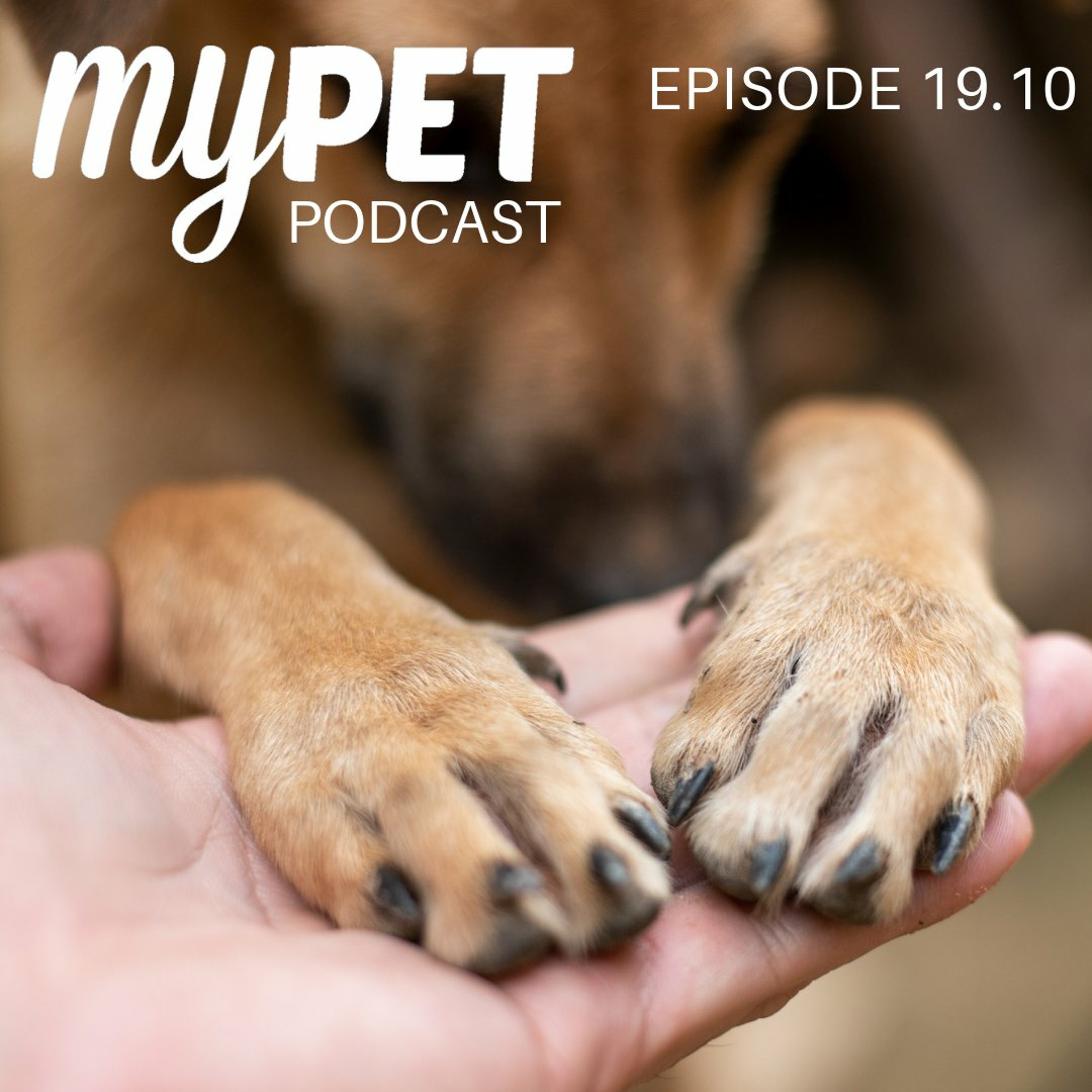 Doggy Dewclaws; a thumb or a problem? episode artwork