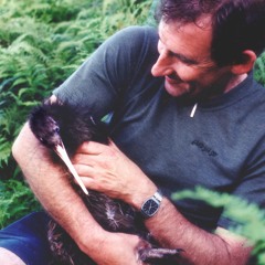 I Will Dare (Paul Westerberg)