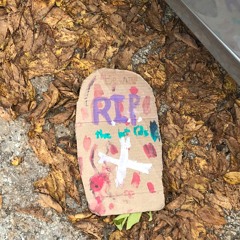 Durban Error (12 - 7-18)