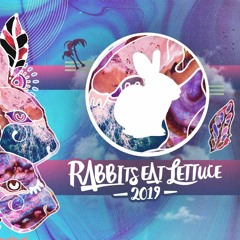 Rabbits Eat Lettuce Launch Party