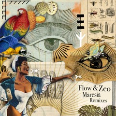 Flow E Zeo - Maresia (Intelektron Remix) [Get Physical Music]