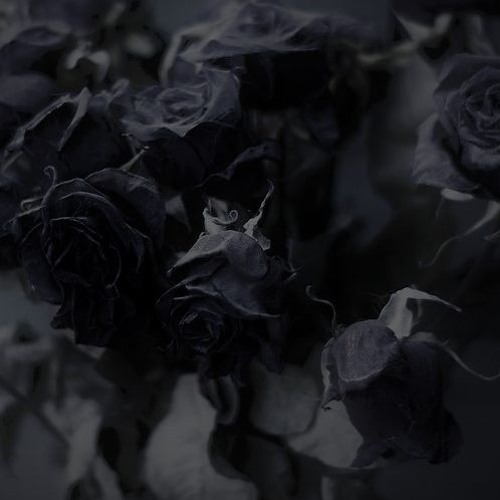please - jagger finn