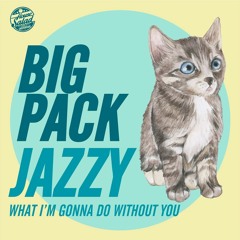 Big Pack - Jazzy (What I'm Gonna Do Without You) [FREE DOWNLOAD]