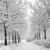 Artwork for IN THE BLEAK MIDWINTER - Gustav Holst / arr. Willem Flisijn