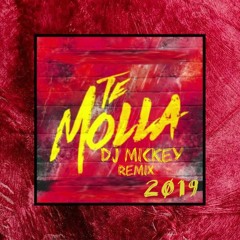 ARNON Ft. Killua - Te Molla (Dj Mickey Remix 2019)