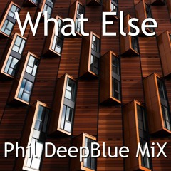 What Else (Phil DeepBlue MiX )