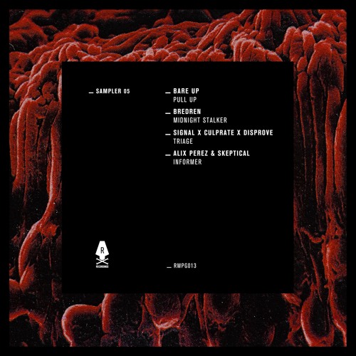 Signal x Culprate x Disprove - Triage