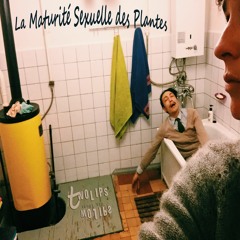 Turks Fruit, een toewijding