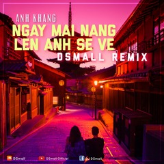 Anh Khang - NMNLASV (DSmall Remix)