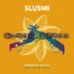Slushii - Never Let You ft. Sofia Reyes [Ohmie Remix]