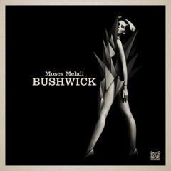 Moses Mehdi - The Seek Note