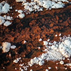 Quasi - Ariwo (album teaser)