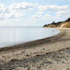 Seashore