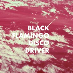 Black Flamingo Disco Driver / Acid dream