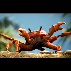 Bitch Lasagna + Crab Rave Remix