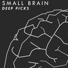 Smallbrain Picks: Deep picks
