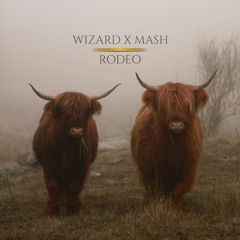Rodeo (feat. MASH)