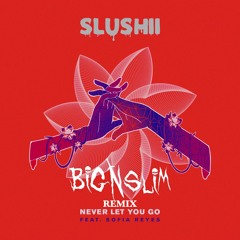 Slushii - Never Let You Go Feat. Sofia Reyes (Big N Slim Remix)