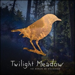 Twilight Meadow - The Worlds We Discovered (Giant Turtle Remix)