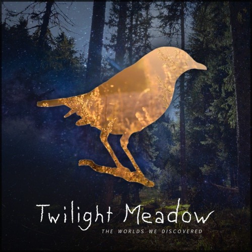 Twilight Meadow - The Worlds We Discovered (Giant Turtle Remix)
