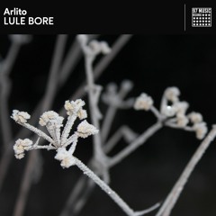 Arlito - Lule Bore