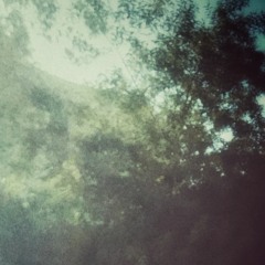 1. Spore Dronic Stromm