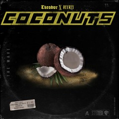 Theodor feat. Reyrzy. - Coconuts